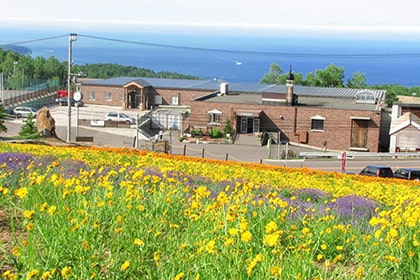 おたるワインギャラリー