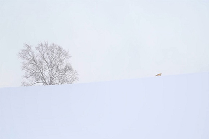 パッチワークの路