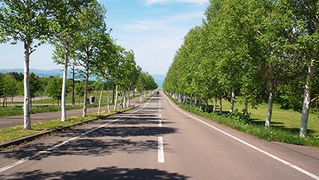 洞爺湖を目指してグルメドライブ