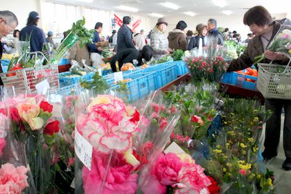 カーネーションと売り場