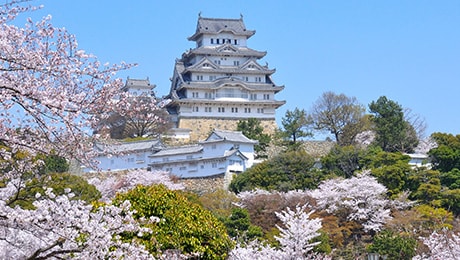 「軍師官兵衛」の舞台、姫路へ