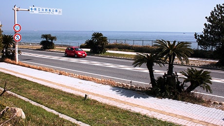 春の淡路で花と海鮮づくし