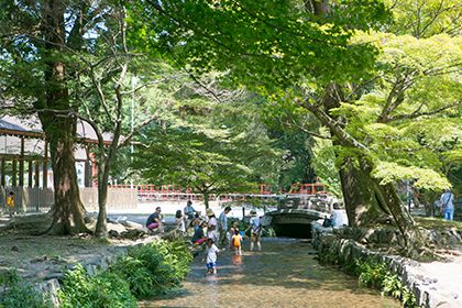 御手洗川(みたらしがわ)