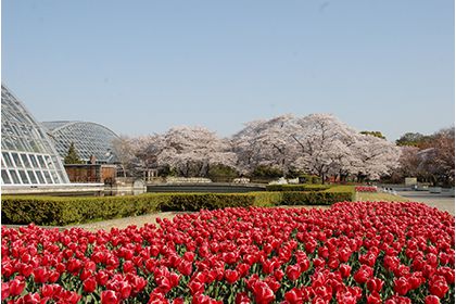 京都府立植物園