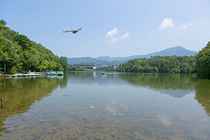 宝ヶ池公園