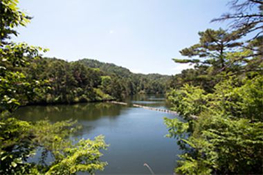 鴨川沿いの風景