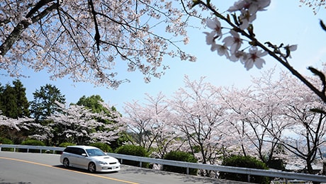 嵐山-高雄パークウェイから茅葺きの里へ～春の嵐山を出発して、日本の原風景が残る美山を訪ねる～