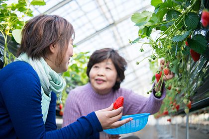 農業公園 信貴山のどか村