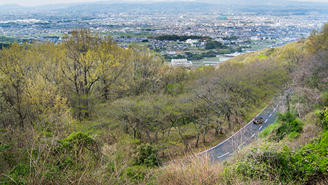 古都と世界遺産の原始林を楽しむ万葉ロマンの旅