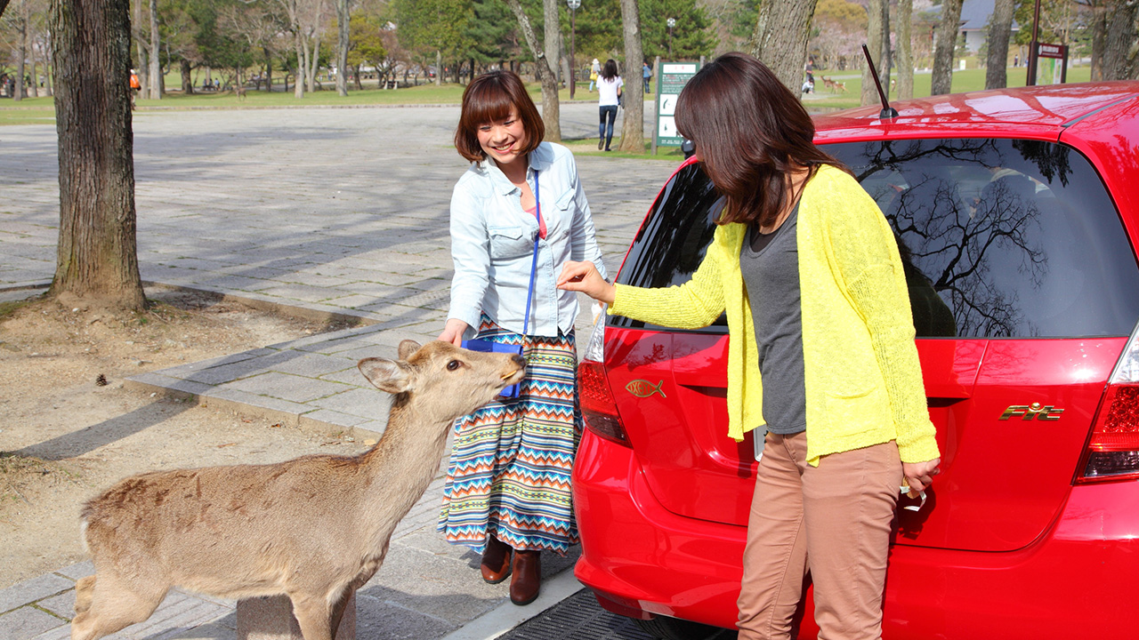レンタカーで滋賀ドライブを楽しむ