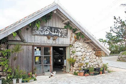 読谷村焼の外観