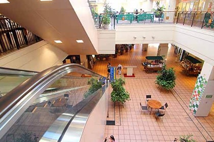 プラザハウスショッピングセンター内観