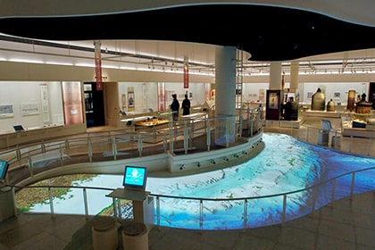 サンゴ礁の浅瀬