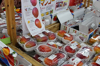 売り場に並ぶマンゴー