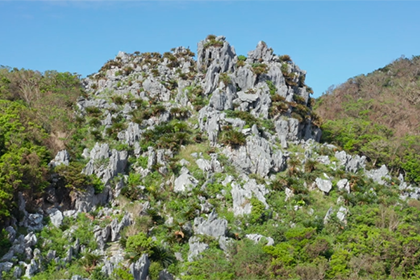カルスト地形と植物