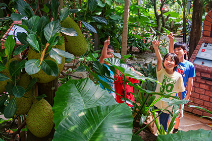 OKINAWAフルーツランド