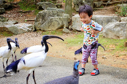 ネオパークオキナワ