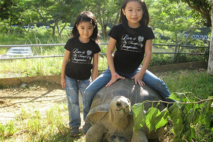 ネオパークオキナワ