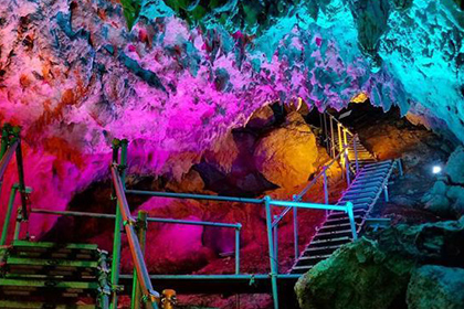 大宜味シークヮーサーパーク