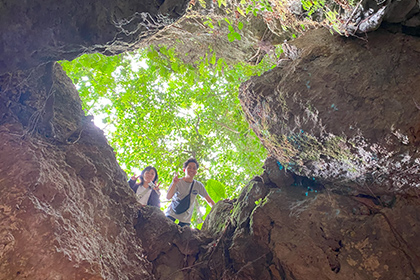 大量のシークヮーサー
