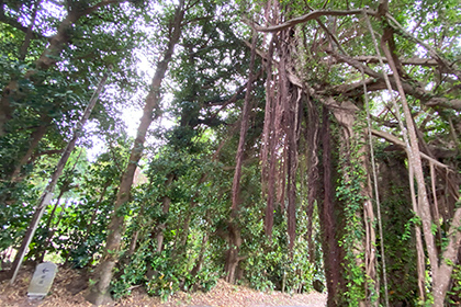 中部以北の王道観光ツアー！
