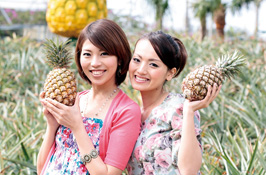 Nago Pineapple Park