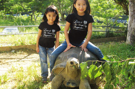 Neo Park Okinawa