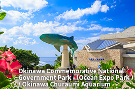 Okinawa Churaumi Aquarium