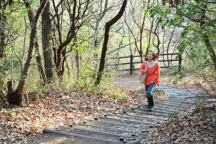 五月山公園のハイキングコース