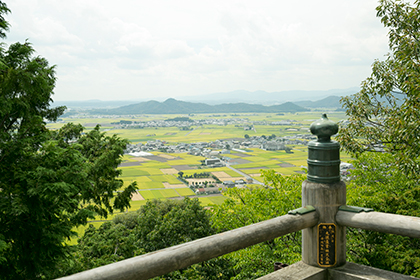 展望台からの景色