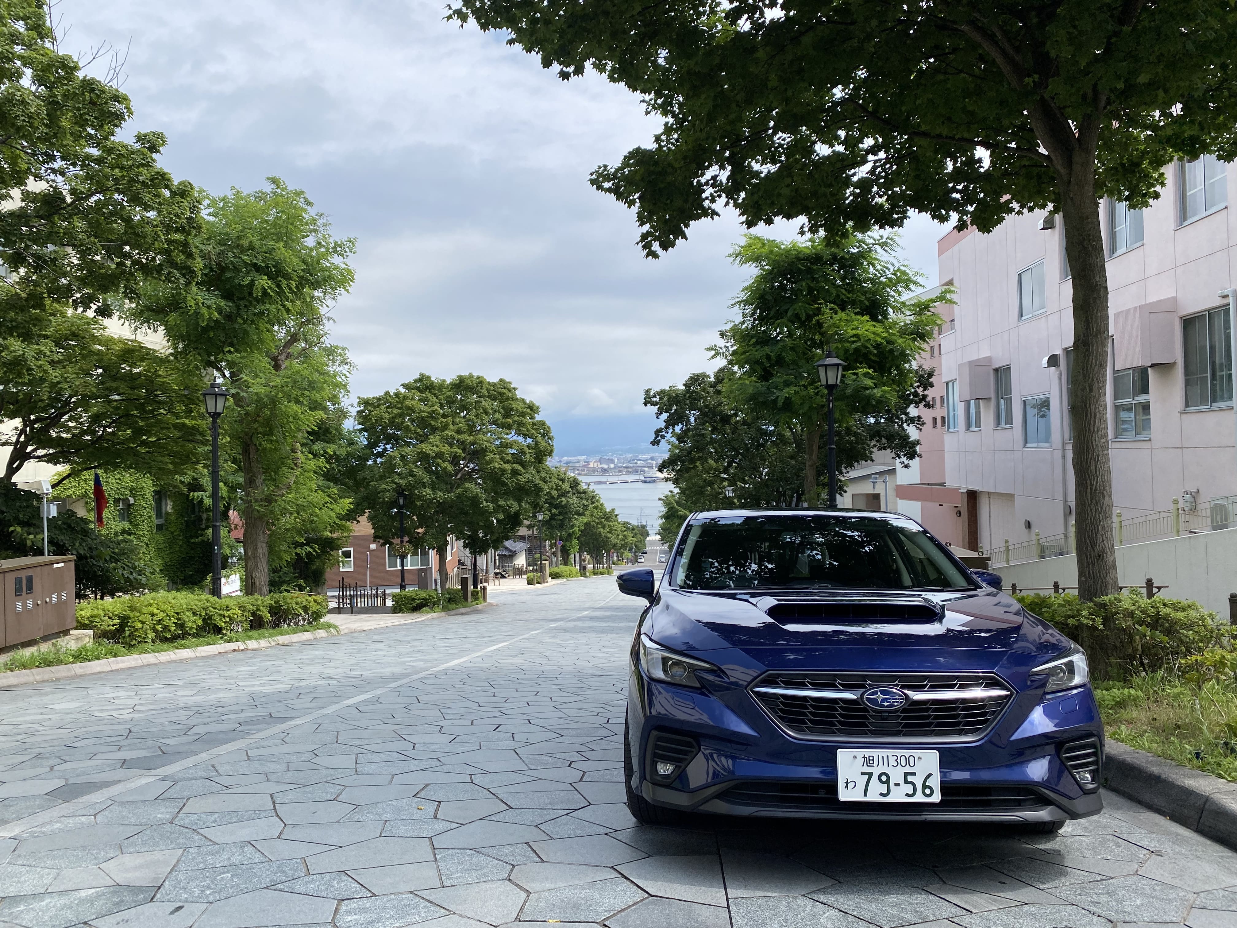 Drive the car model you're used to and explore Hokkaido!