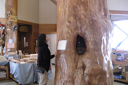 ウッディプラザ